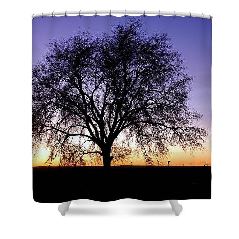 Morning Shower Curtain featuring the photograph Big Sky - New Mexico by DArcy Evans