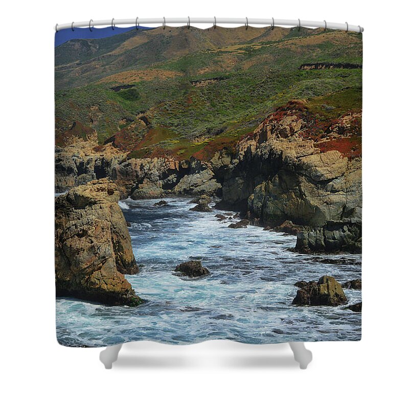 Big Sur Shower Curtain featuring the photograph Big Sur 1 by Renee Hardison