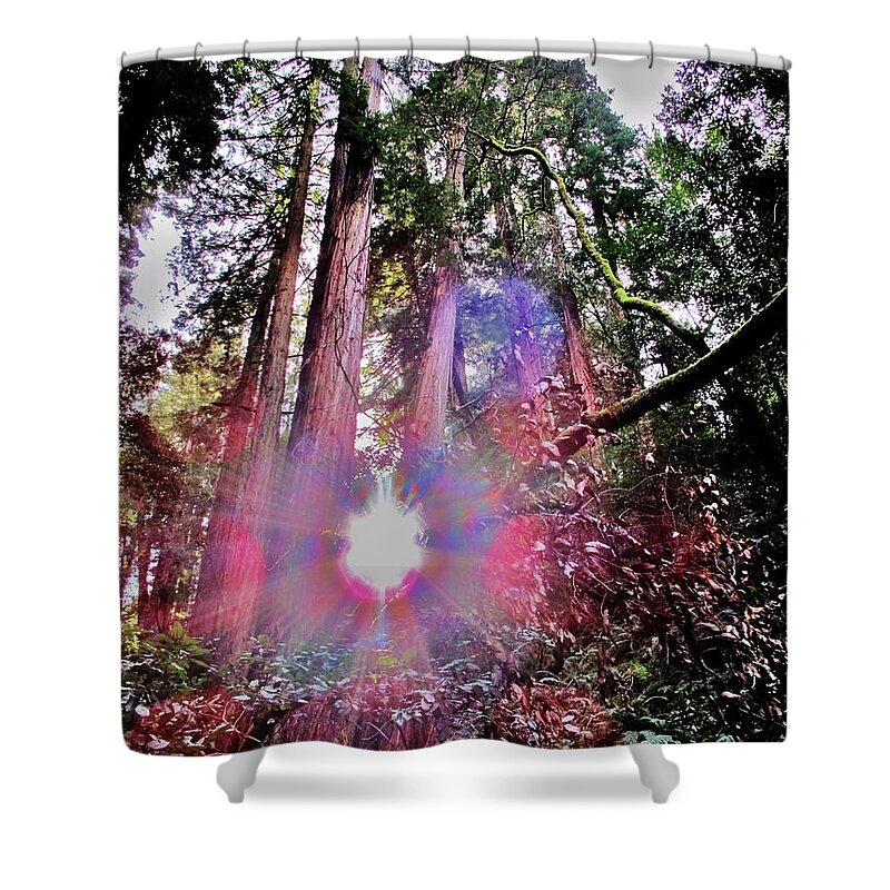 Redwoods Shower Curtain featuring the photograph Bigfoot Into The Light by John King I I I