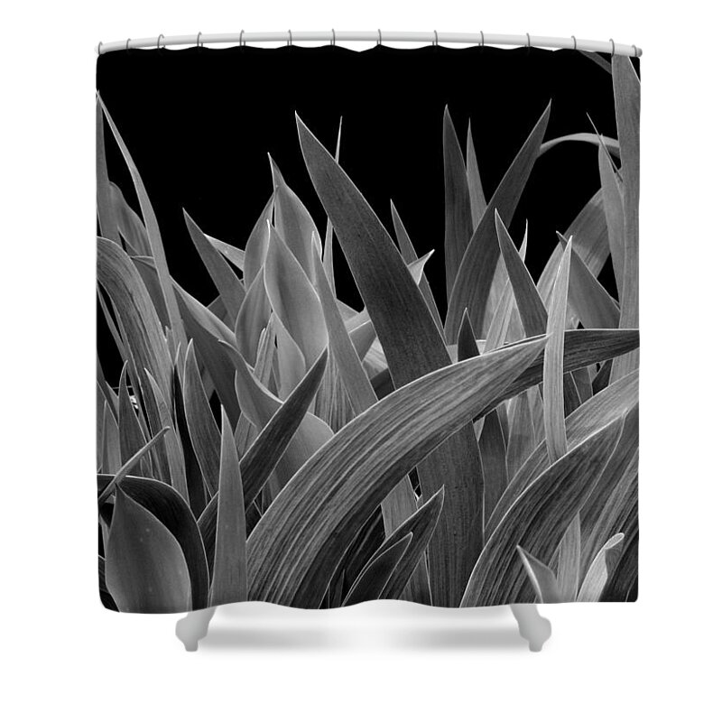 Black & White Shower Curtain featuring the photograph Biological Warfare by Frederic A Reinecke