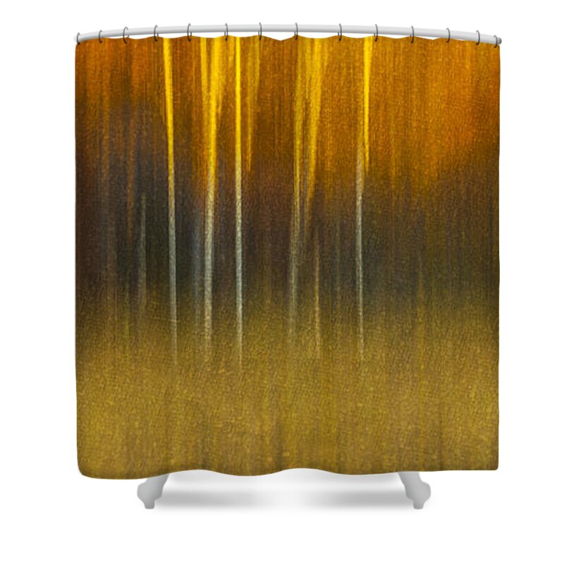 Abstract Shower Curtain featuring the photograph Birch At The Edge Of The Field 2015 by Thomas Young