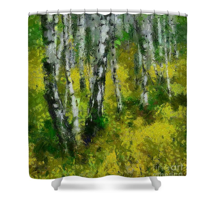 Spring Season Shower Curtain featuring the painting Birch Grove by Dragica Micki Fortuna