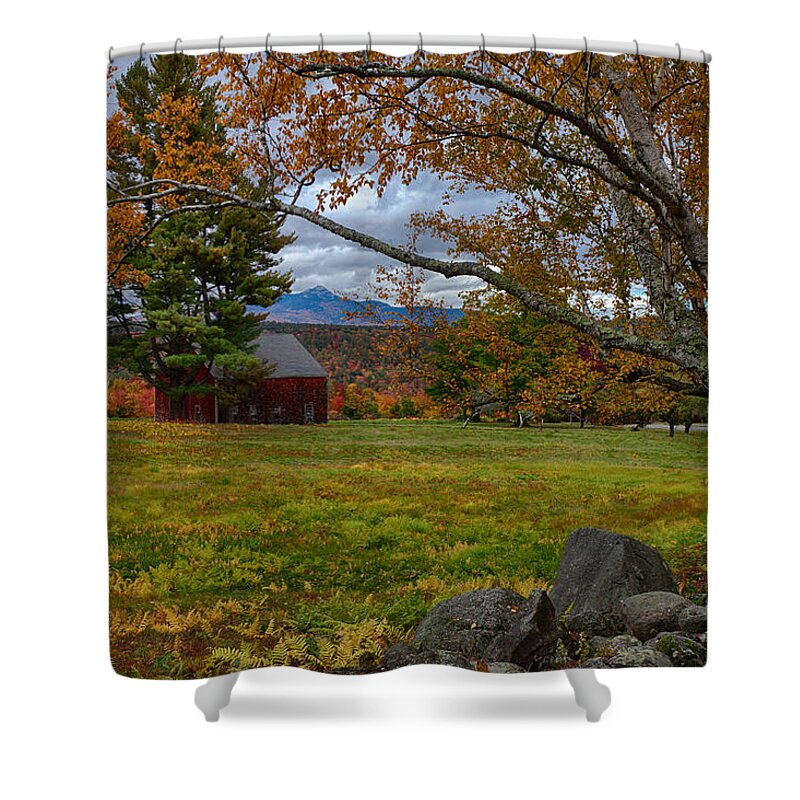 Chocorua Fall Colors Shower Curtain featuring the photograph Birch over the mountains by Jeff Folger