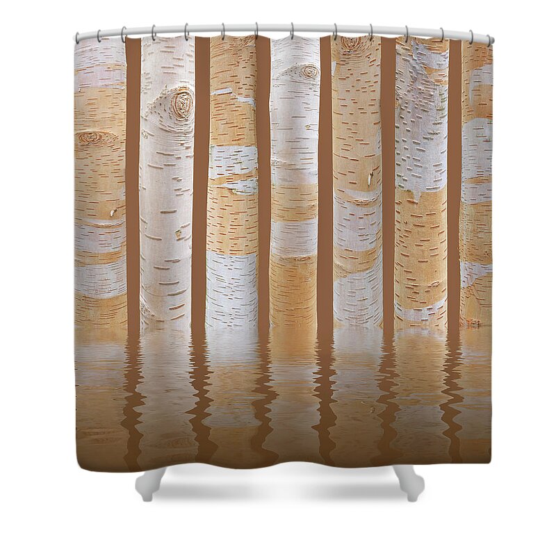Birch Trees Shower Curtain featuring the photograph Birch Tree Abstract Reflections on Brown by Gill Billington