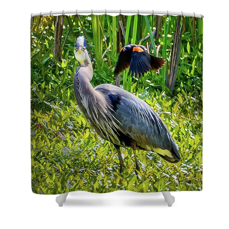 Heron Shower Curtain featuring the photograph Bird Battles by Jerry Cahill