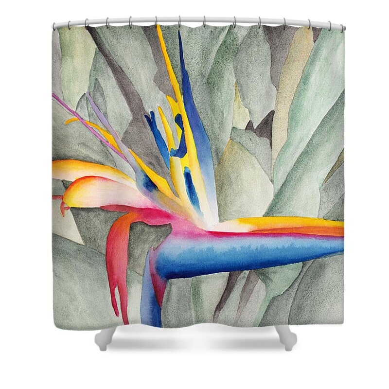 Bird Shower Curtain featuring the painting Bird Of Paradise by Ken Powers
