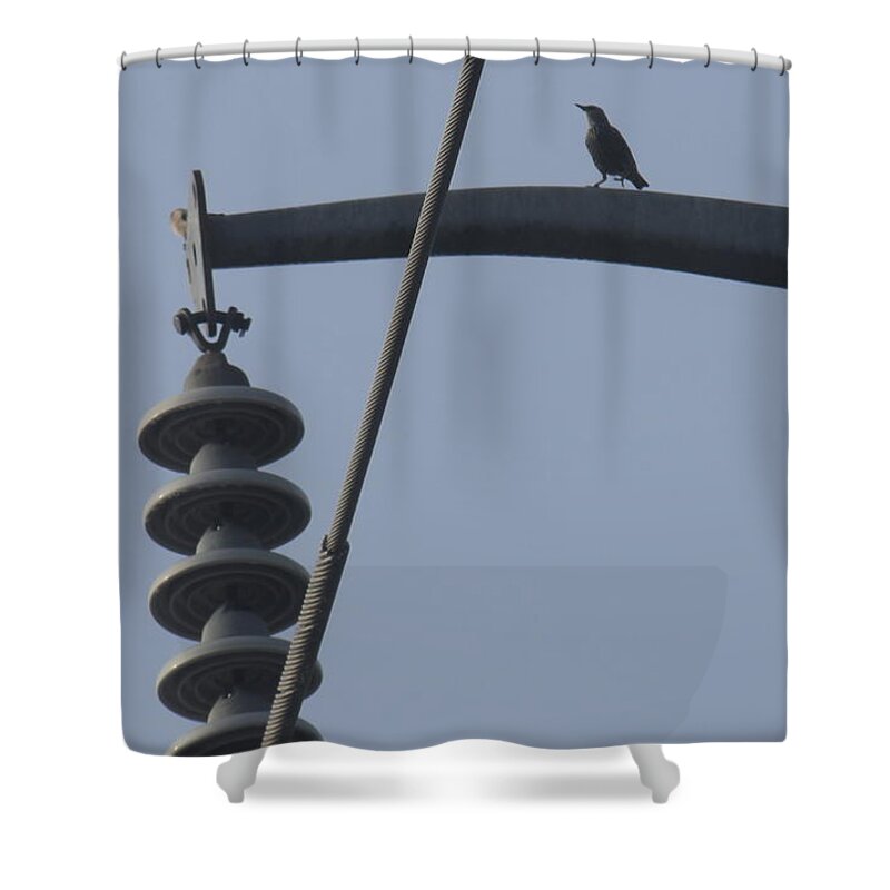Bird Shower Curtain featuring the photograph Bird on a high wire by Sheri Simmons