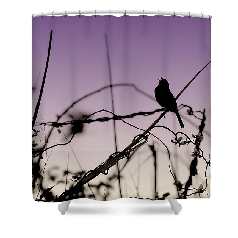 Silhouette Shower Curtain featuring the photograph Bird Sings by Angie Tirado