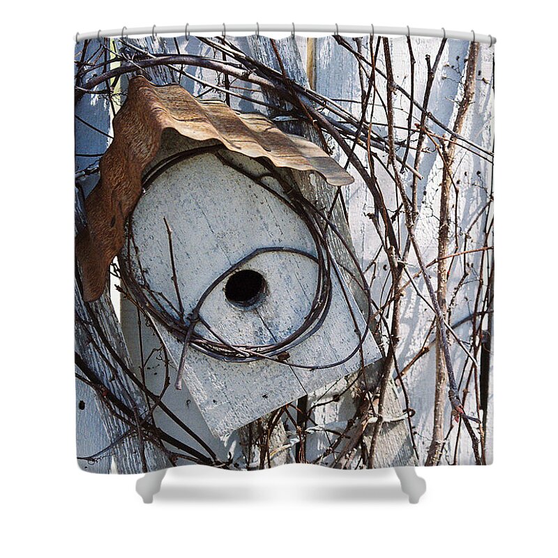 Birdhouse Shower Curtain featuring the photograph Birdhouse Brambles by Lauri Novak