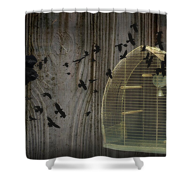 Wild Bird Shower Curtain featuring the photograph Birds Gone Wild by Suzanne Powers