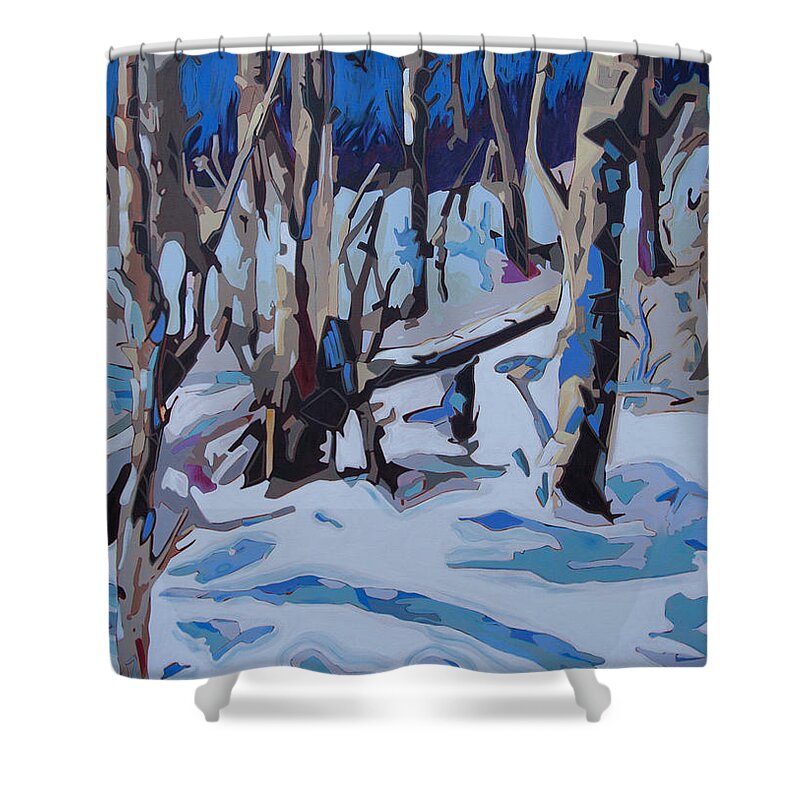 Marine Paintings Shower Curtain featuring the painting Birds Hill 6042.5 by Rob Owen