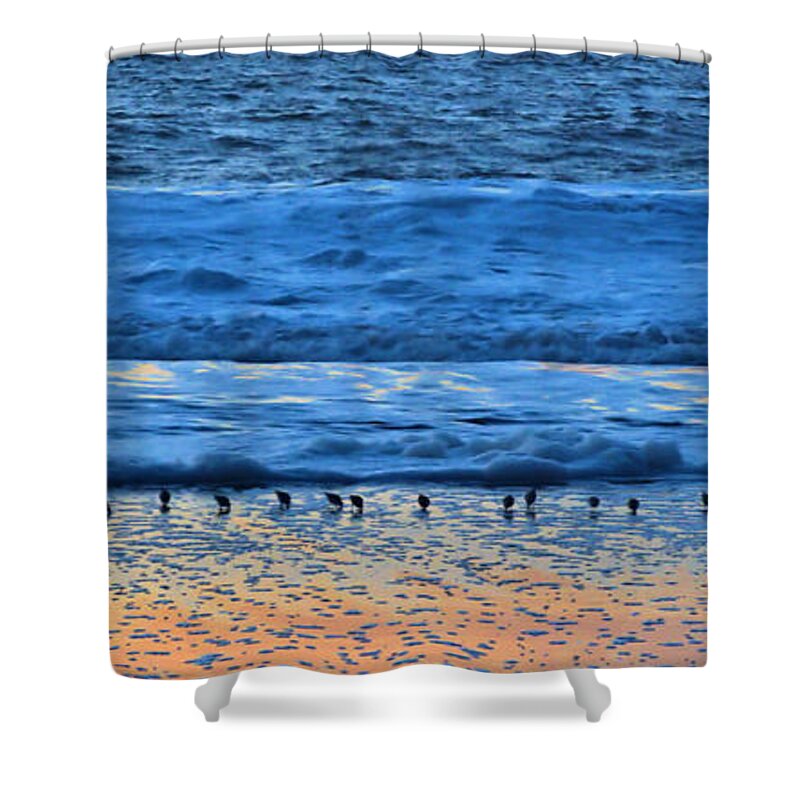 Birds Shower Curtain featuring the photograph Birds in Parallel by Josephine Buschman
