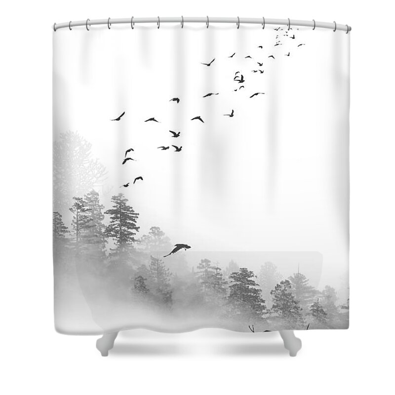 Bird Shower Curtain featuring the photograph Birds in the Mist by Greg Waters