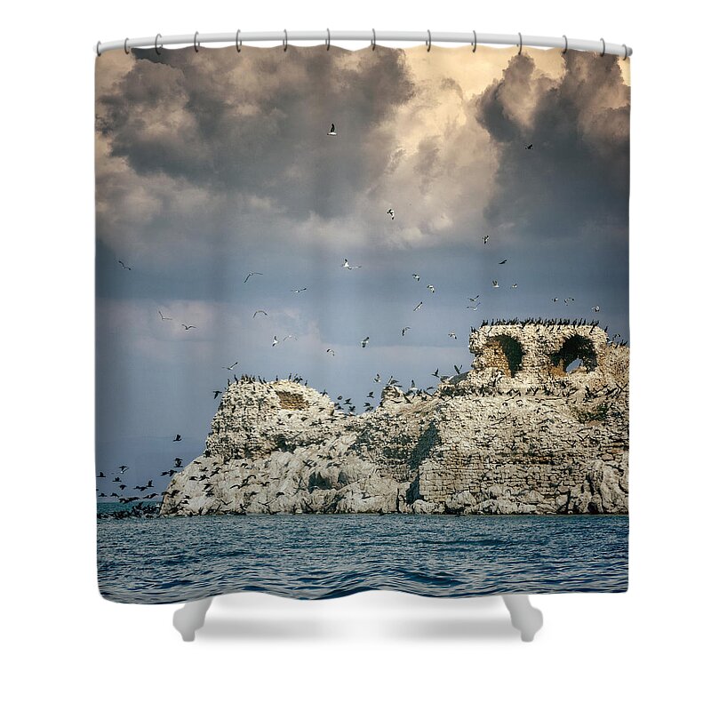 Bird Shower Curtain featuring the photograph Birds Island by Joana Kruse