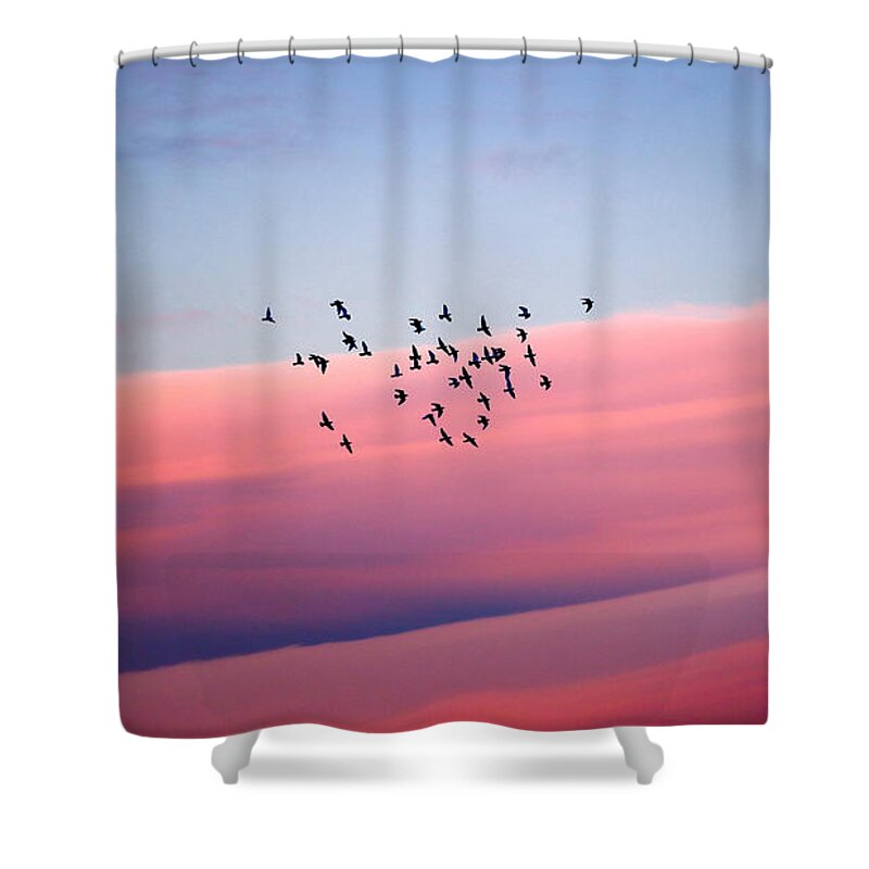 Air Shower Curtain featuring the photograph Birds migration by Anna Om