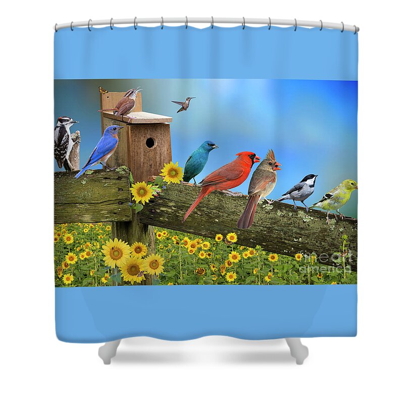 Downy Woodpecker Shower Curtain featuring the photograph Birds of a Feather by Bonnie Barry