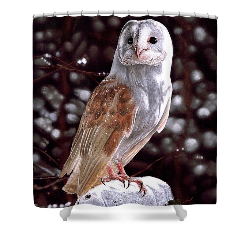 Owl Shower Curtain featuring the pastel Birds of a Feather by Karie-Ann Cooper