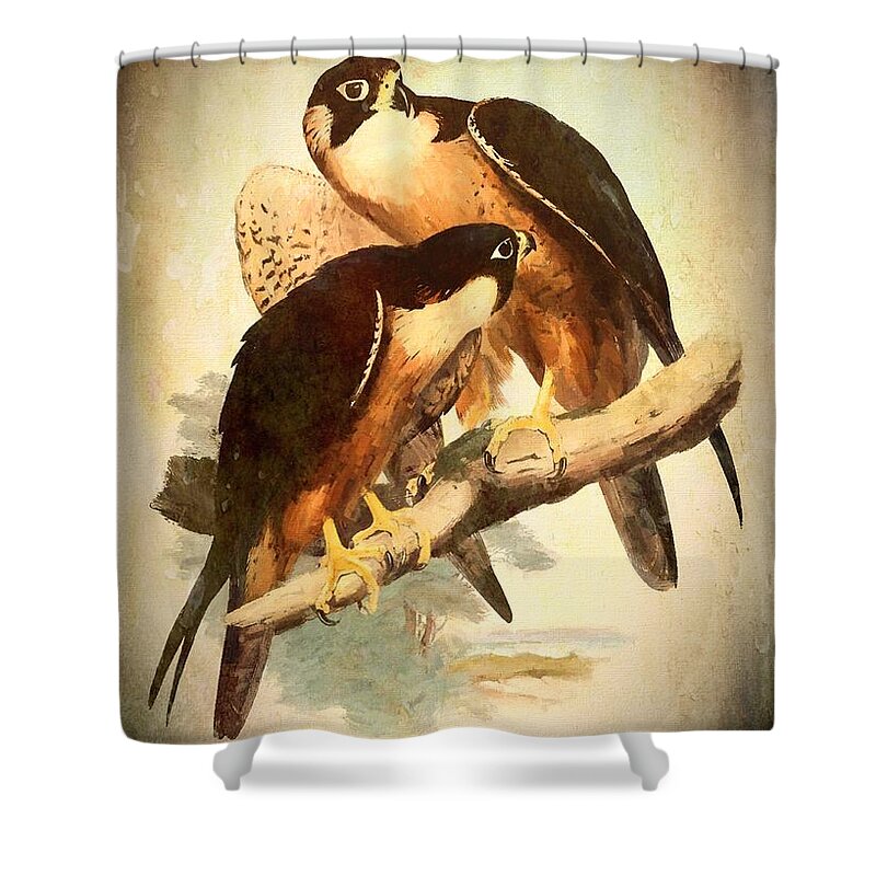 Bird Shower Curtain featuring the mixed media Birds of Prey 2 by Charmaine Zoe