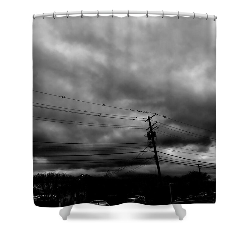 Birds Shower Curtain featuring the photograph Birds on a Wire 2018 by Chris Montcalmo
