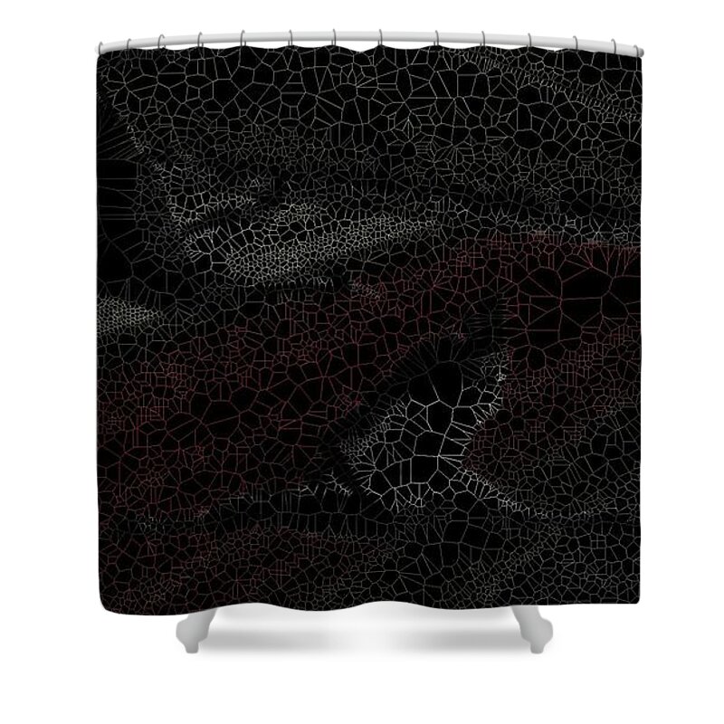 Vorotrans Shower Curtain featuring the mixed media Birds over Crops by Stephane Poirier