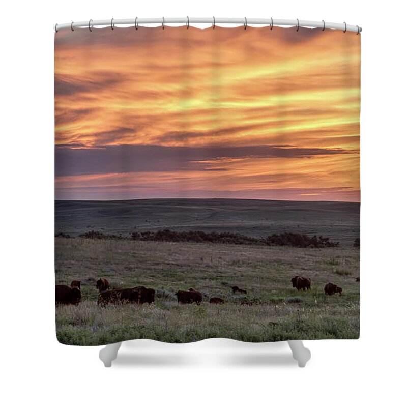 Kansas Shower Curtain featuring the photograph Bison at Sunrise by Rob Graham