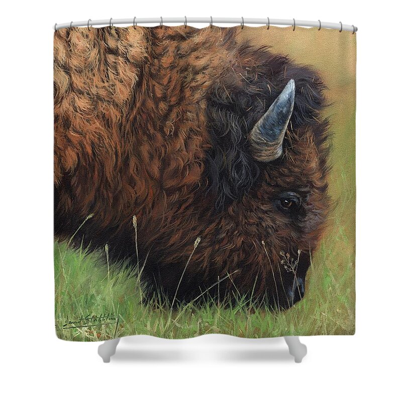 Bison Shower Curtain featuring the painting Bison Grazing by David Stribbling