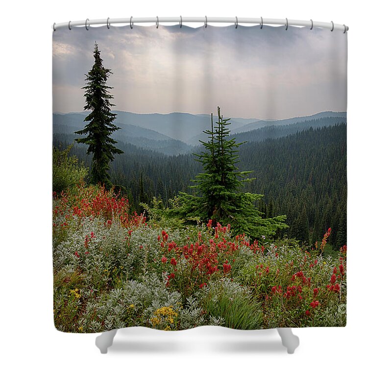August Shower Curtain featuring the photograph Bitterroot Summer by Idaho Scenic Images Linda Lantzy