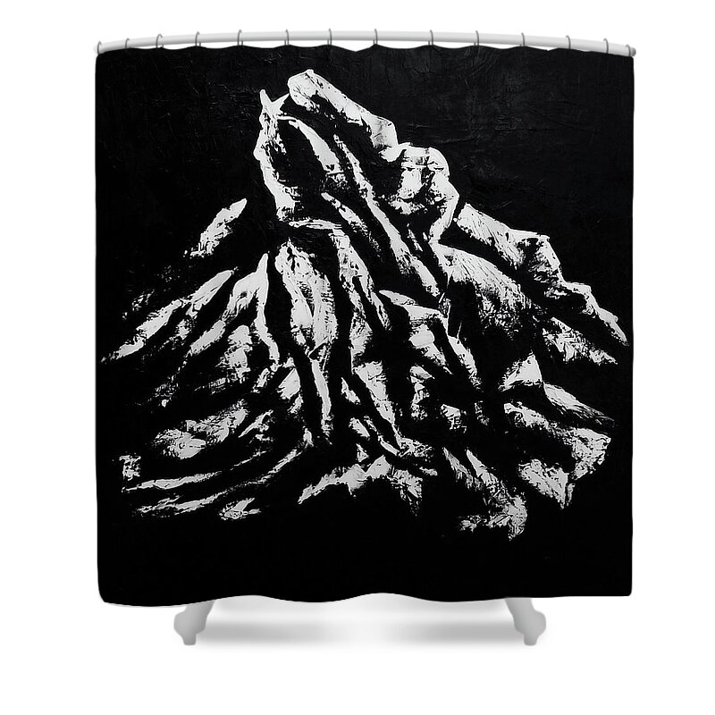  Shower Curtain featuring the painting Black and White 1 by Ara Elena