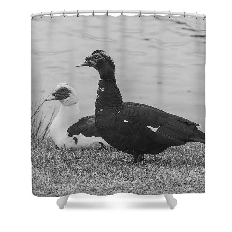 Black And White Shower Curtain featuring the photograph Black and White 10 by Jimmy McDonald