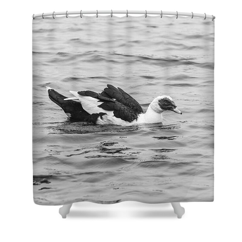 Black And White Shower Curtain featuring the photograph Black and White 12 by Jimmy McDonald