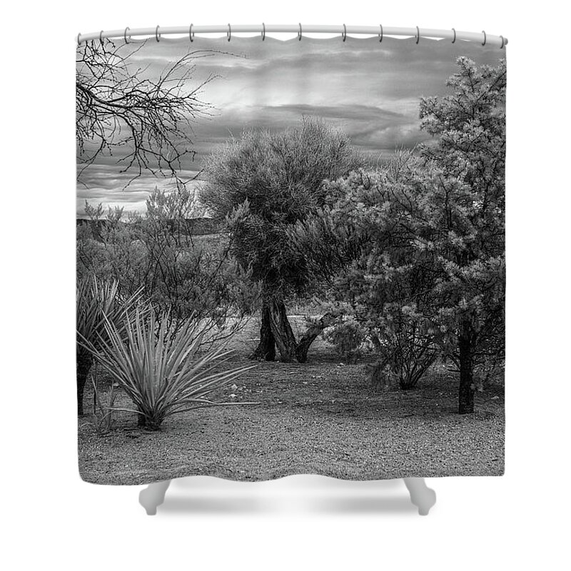 Desert Shower Curtain featuring the photograph Black And White Desert by Paul Freidlund