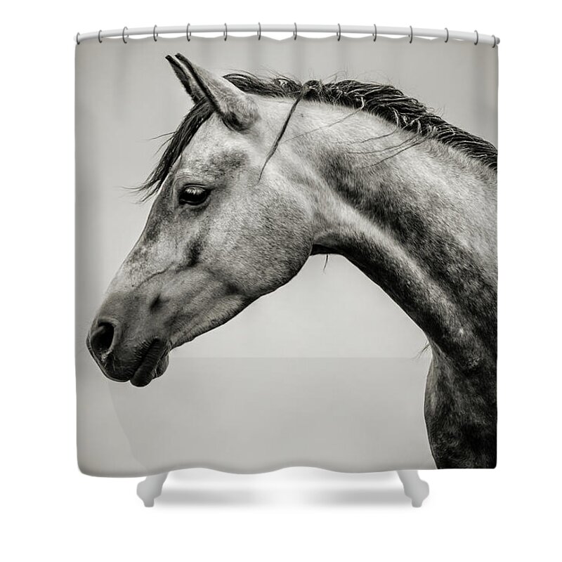 Horse Shower Curtain featuring the photograph Black and White Horse Head by Dimitar Hristov