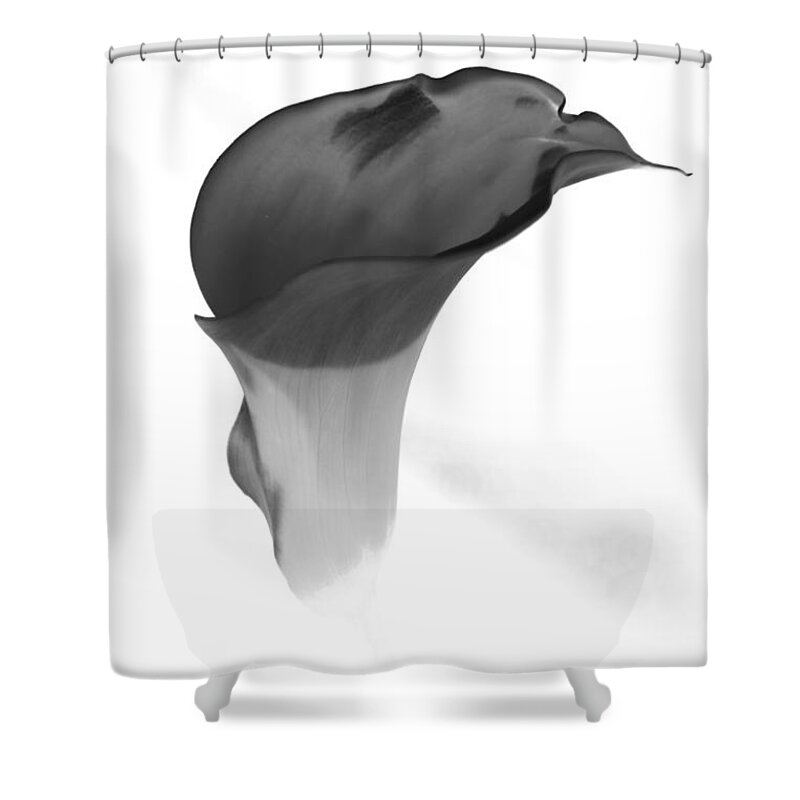 Flowers Shower Curtain featuring the photograph Black and White Lily 2 by Steven Clipperton