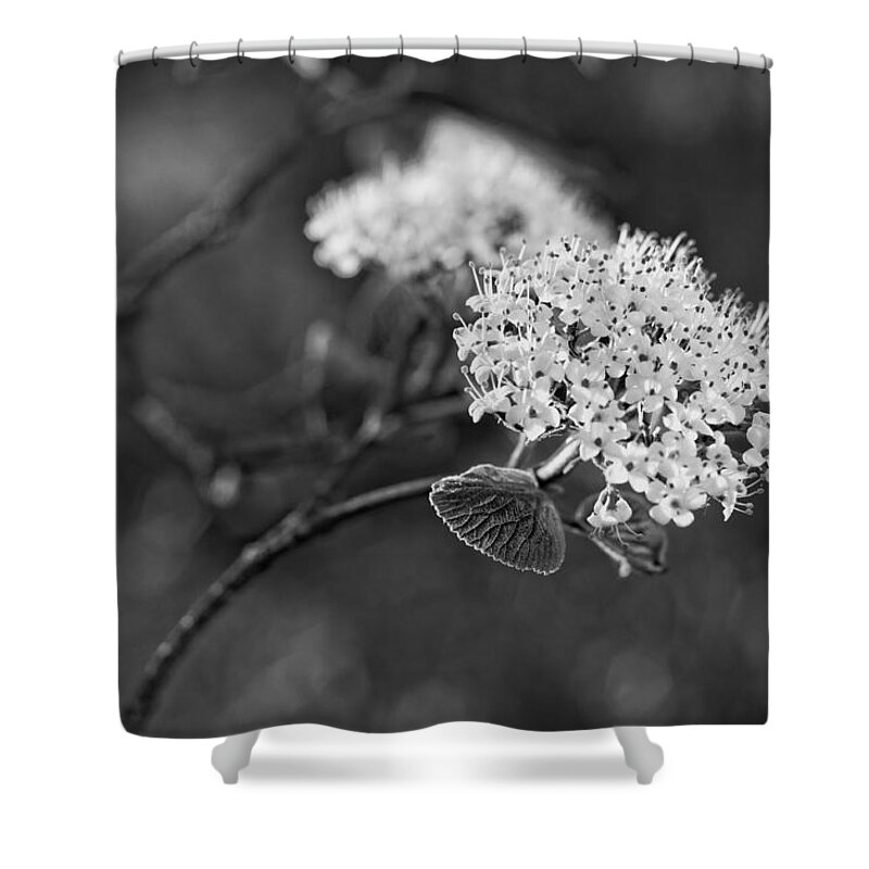 Miguel Shower Curtain featuring the photograph Black and White by Miguel Winterpacht