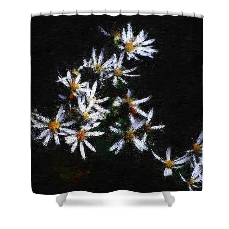 Digital Photograph Shower Curtain featuring the digital art Black and white study II by David Lane