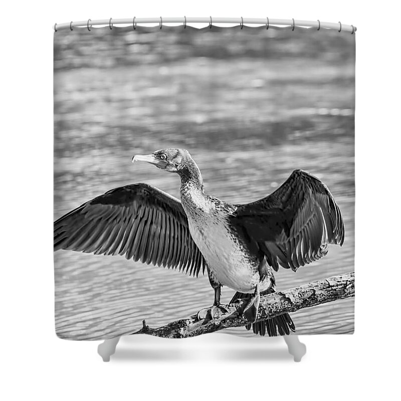 Black And White Shower Curtain featuring the photograph Black and white Welcome in by Leif Sohlman