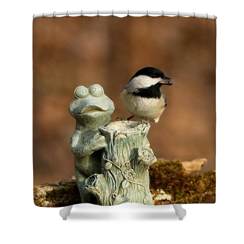 Nature Shower Curtain featuring the photograph Black-Capped Chickadee and Frog by Sheila Brown