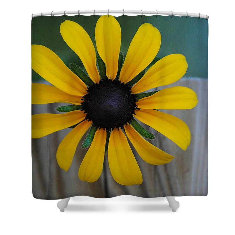 Flower Shower Curtain featuring the photograph Black Eye by Eric Liller