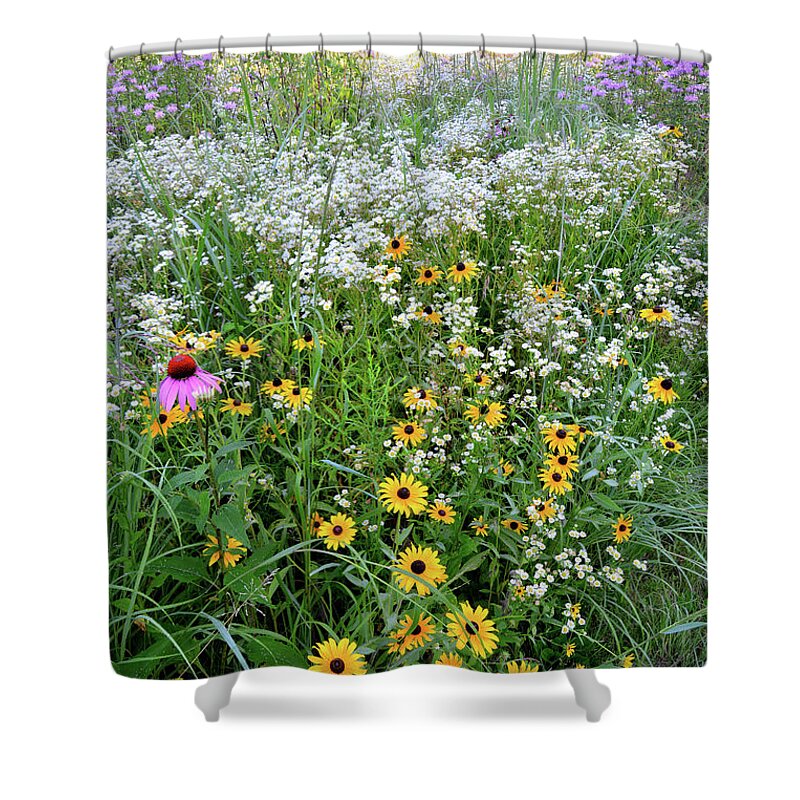 Mchenry County Conservation District Shower Curtain featuring the photograph Black Eyed Susans and Company by Ray Mathis