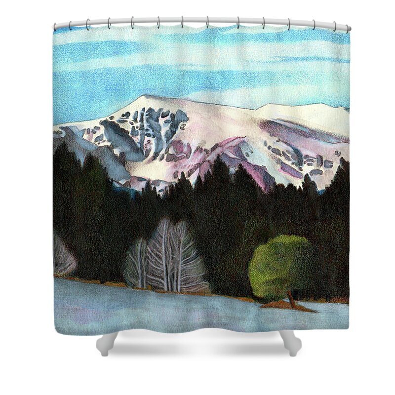 Art Shower Curtain featuring the drawing Black Forest by Dan Miller