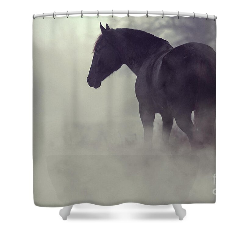 Horse Shower Curtain featuring the photograph Black horse in the dark mist by Dimitar Hristov