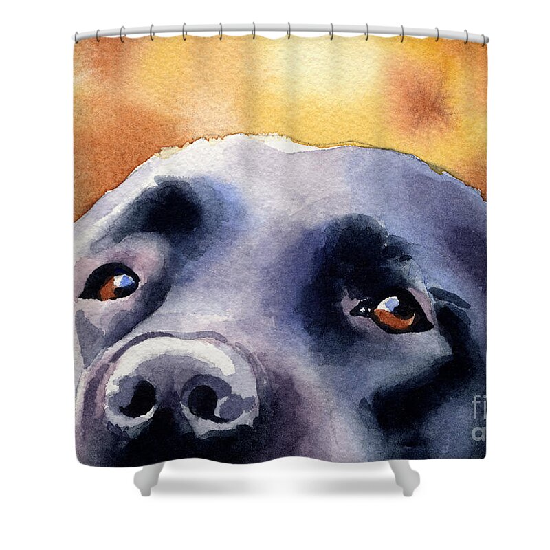Black Lab Shower Curtain featuring the painting Black Lab by David Rogers