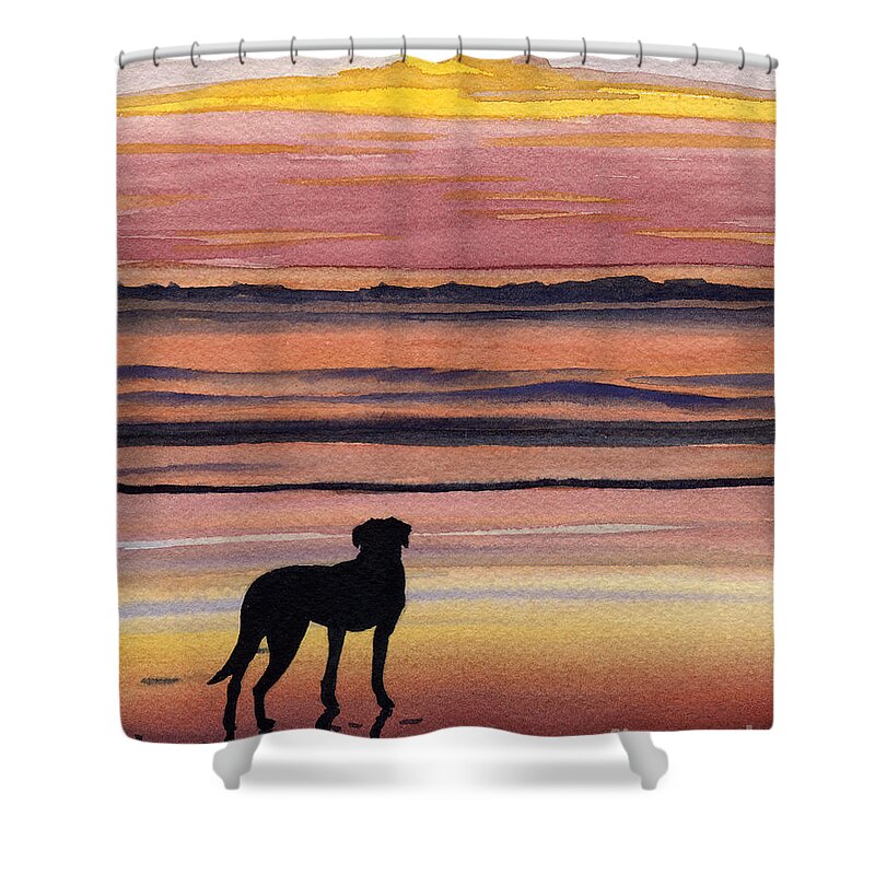 Black Lab Shower Curtain featuring the painting Black Lab Sunset by David Rogers