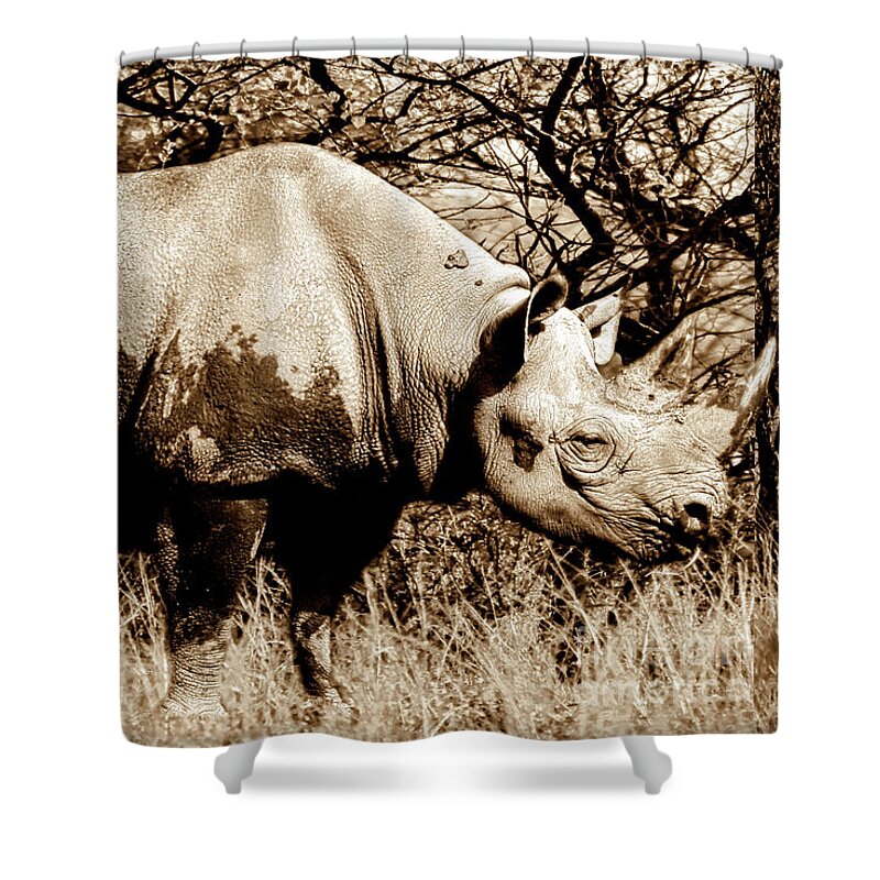 Rhinoceros Shower Curtain featuring the photograph Black Rhino and youngster by Stephen Melia