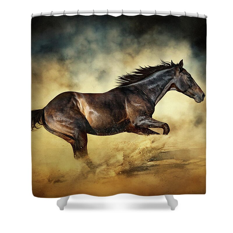 Horse Shower Curtain featuring the photograph Black Stallion horse Galloping like a devil by Dimitar Hristov