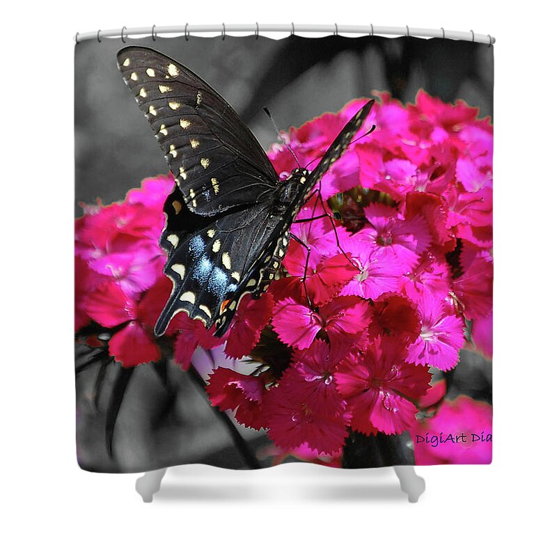 Butterfly Shower Curtain featuring the digital art Black Swallowtail by DigiArt Diaries by Vicky B Fuller