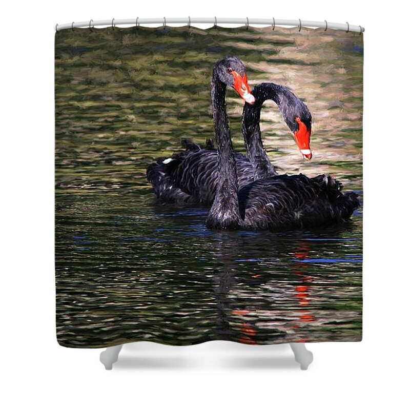 Black Swan Shower Curtain featuring the photograph Black Swans II by Carol Montoya