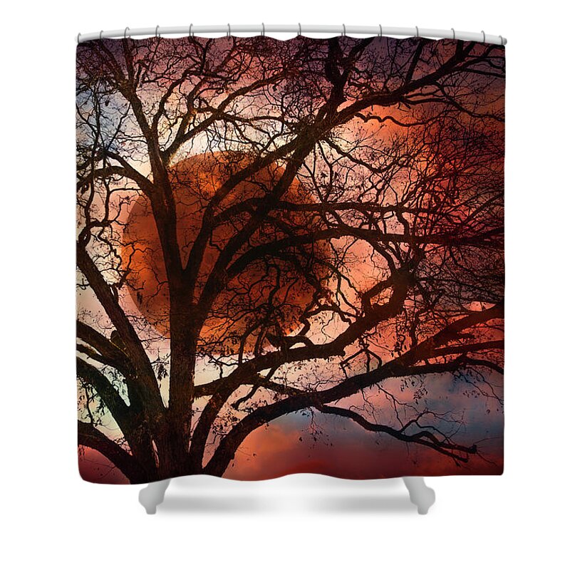 Appalachia Shower Curtain featuring the photograph Blackbirds at Dusk by Debra and Dave Vanderlaan