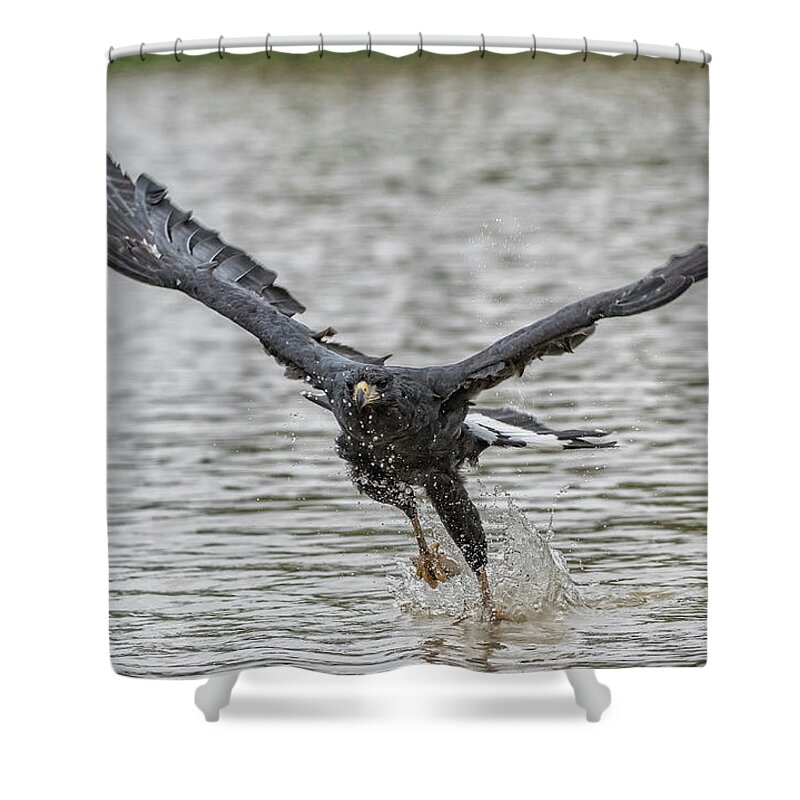 Blackhawk Shower Curtain featuring the photograph Blackhawk Fishing #2 by Wade Aiken