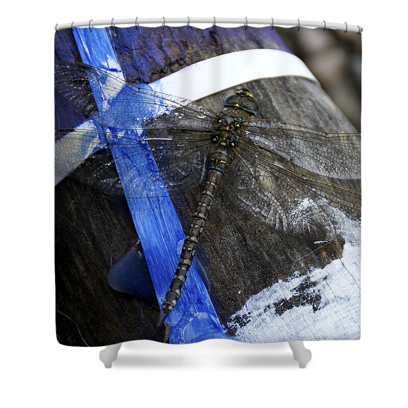 Dragon Fly Shower Curtain featuring the photograph Blending In by Ellery Russell
